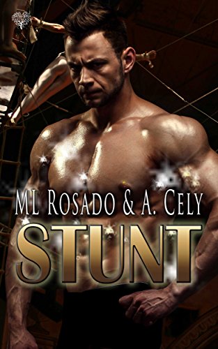 Book Review: Stunt