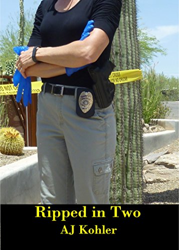 Book Review: Ripped in Two