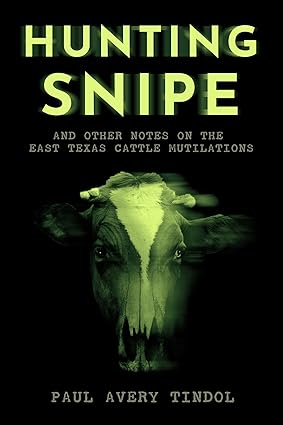 Book Review: Hunting Snipe