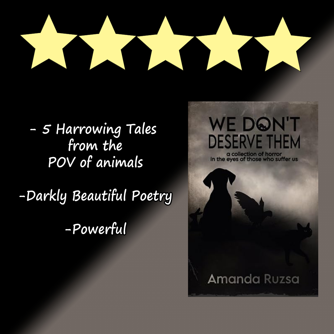 Book Review: We Don’t Deserve Them